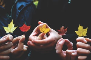 crowdsourced-consulting-services