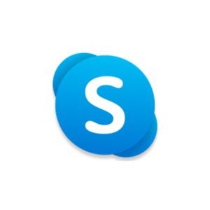 Skype logo - website